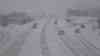 Über 50 cm Neuschnee - Voxpops - in Norddeutschland: Traktor zieht drei Kinder mit Schlitten, Flensburg versinkt im Schnee, meterhohe Verwehungen, stärkste Schneefälle seit über 6 Jahren: Biergärten im Schnee, Einkaufswagen im Schnee, hohe Schneeverwehungen, Autohaus im Schnee - man erkennt kaum Autos