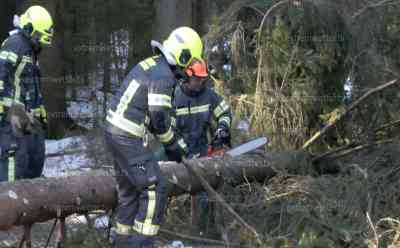 Oststurm verursacht Feuerwehreinsätze – umgestürzte Bäume im Erzgebirge: kräftiger Oststurm lässt Bäume umknicken, Straßen wegen Eisbruch und Sturm gesperrt, extreme Wetterbedingungen am Erzgebirgskamm: Regionales Wetterphänomen verursacht arktische Verhältnisse im Erzgebirge