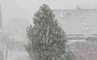 Aprilwetter kurz vor Frühlingsanfang: bedrohlicher Schaueraufzug, gefolgt von Graupelschauer und kräftigen Schneefall, dicke Flocken am Nachmittag, Narzissen von Schnee begraben: In kürzester Zeit von Sonnenschein in den Winter, Autofahrer kämpfen gegen schlechte Sicht