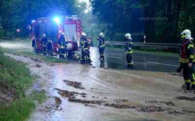 Unwetter – massive Überschwemmungen im Vogtland: Feuerwehren rufen Sonderlage aus, Land unter in zahlreichen Ortschaften, Wasser schießt von Feldern in Ortschaften, Teiche laufen über, Getränkehandel unter Wasser, Feuerwehr muss Pferde vor Wasser retten: O-Töne aus dem Vogtland und Erzgebirge, Pferde werden von Besitzern beruhigt, Feuerwehr öffnet verstopften Einlass, spektakulärer Unwetteraufzug 