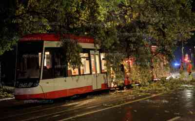 Schwere Unwetter in Duisburg: Orkanböen, Bäume stürzen auf Straßenbahn und Autos, Ast bohrt sich durch mehrere Etagen eines Mehrfamilienhauses, überall liegen umgestürzte Bäume, Amateurmaterial zeigt Orkan, Interview mit Augenzeugen: Aufräumarbeiten werden kompletten Samstag andauern, Samstag drohen weitere, schwere Gewitter