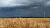 Gewitter und Starkregen vertreiben Hitze aus Ostdeutschland: Kräftiger Starkregen vertreibt letzte Hitzereste aus dem Osten, deutlich angenehmere Temperaturen: Vegetation und Dürreregion begrüßen den Starkregen