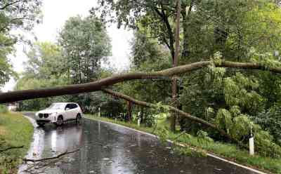 Schwere Unwetter wüten in Sachsen: Bäume umgestürzt, Stromleitung auf Radfahrer gestürzt, Radfahrer wie durch ein Wunder unverletzt, Feuerwehren im Einsatz: Unwetterfront aus Tschechien aufgezogen, Überflutungen und bedrohlicher Unwetteraufzug