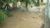 Ganzer Ort versinkt in Regenfluten: Fluss überflutet zahlreiche Grundstücke