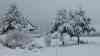 (Wintereinbruch, stark) Schneechaos Erzgebirge: Schneebruch - Feuerwehren im Einsatz, PKW stecken fest, Schneeketten werden aufgezogen, Weihnachtsfeiertage versinken im Schnee: Winterdienst steckt ebenfalls fest, Schneebruch behindert Verkehr, Autos hängen fest, Menschen versuchen PKW zu schieben