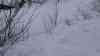 (Lawinendrama, Alpen, extrem) Lawinenkomission bei der Arbeit: Schneedecke wird auf Lawinengefahr überprüft, Schnee wird aus Ort gefahren, zu viel Schnee in Dienten, besorgter Blick auf Neuschneefälle (on tape): LKW und Radlader bringen Schnee aus den Ort, erste Lawinen sind abgegangen, erneut 1 Meter Neuschnee angekündigt