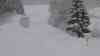 (Lawinendrama, Alpen, extrem) Schneechaos am Arlberg hält an: Menschen ignorieren Lawinensperrung, beliebte Touristenorte von der Außenwelt abgeschnitten, Bahnverkehr kommt zum Erliegen: Trotz Lawinensperre laufen Menschen über Straße, kein Bahnverkehr in Richtung Arlberg, 60 cm Neuschnee in 12 Stunden, Dächer werden abgeschaufelt