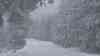 Blizzard auf dem Brocken, Brockenhotel wird evakuiert: Böen von über 130 Km/h, keine Sicht, Lebensgefahr