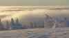 Traumhafter Wintersonnenaufgang auf dem Brocken: Im Tal Nebel auf den Bergen Kaiserwetter