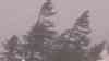 Orkan Brocken – Rentnerin von Baum erschlagen: Sturmtief Yulia wütet im Harz, neben Orkanböen jede Menge Regen, Gleise der Brockenbahn werden im Bahnhof Schierke überflutet: Wanderer im Orkan und im Interview auf dem Brocken, gegen 15 Uhr schon 157 Km/h auf dem Brocken