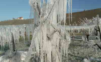 Extremwetter: Bizarre Eiswelt in Bayern, drastische Schutzmaßnahmen gegen Frost, mit Eis gegen den Frost um die jungen Obstblüten zu schützen, beeindruckende Drohnenaufnahmen, Bauer im O-Ton: Schutz vor Frostschäden: Drohne zeigt bizarre Eislandschaft zwischen den Weinbergen