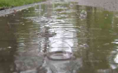 Regen, Regen, Regen – nach langer Trockenheit: Erster nennenswerter Regen in Sachsen nach zahlreichen Dürrewochen, Natur erwacht dank des Regen, dicke Tropfen in Pfützen: Pollen wurden aus der Luft ausgewaschen und liegen nun auf Gehwegen und Autos, Natur wartete lange auf den ersehnten Regen