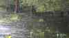 Hochwasser in Bayern: Feuerwehren wegen Hochwasser und Überflutungen im Einsatz, Wasser schießt von Hang in Grundstück, Feuerwehr baut Wall aus Sandsäcken, Tauchpumpen im Einsatz (on tape): Dauerregen sorgt für erste Überschwemmungen, Straße wegen Überflutungen gesperrt, Anwohner patscht durch überflutete Straße, landwirtschaftliche Flächen stehen unter Wasser