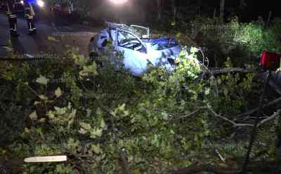 Herbst-Föhnsturm fordert Todesopfer - Baum begräbt fahrendes Auto unter sich - Fahrer sofort tot: Gutachter wurde angefordert - Rettungskräfte konnten nicht mehr helfen