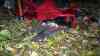 Herbst-Föhnsturm fordert Todesopfer - Baum begräbt fahrendes Auto unter sich - Fahrer sofort tot: Gutachter wurde angefordert - Rettungskräfte konnten nicht mehr helfen