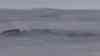Naturschauspiel im Erzgebirge: Intensive Inversion verursacht sogenannten „Nebelbogen“, Turmspitze der St. Annen Kirche ragt aus Nebeldecke heraus, Windräder schauen mit Spitze aus Nebeldecke heraus, Zeitrafferaufnahmen: Seltenes Naturschauspiel auf Grund scharfer Inversionsgrenze, nur die Berge des Erzgebirges schauen aus dem Nebel heraus