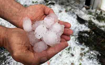 Schweres Hagelunwetter über Reutlingen: Vogel von 6 cm Hagel regelrecht erschlagen, Frontscheiben von Autos durch Hagel gerissen, riesige Hagelberge durch Superzelle, große Bäume umgestürzt: Anwohner laufen durch 50 cm hohen Hagelmassen, Auto steckt im Hagel fest, enorme Schäden durch Unwetter
