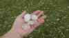 Hagelunwetter Oberösterreich - 6 cm Hagel sorgen für Schäden: Autofahrer suchen Schutz unter Bahnbrücke, Aufzug sogenannter Superzelle, 6 cm Hagelkörner in der Hand, Hagelmassen: Maisfelder zerschlagen, Pflanzen zerstört – Unwetterserie in Bayern und Österreich neigt sich dem Ende