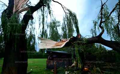 Zwei Tote bei Unwettern in Tschechien: massive Unwetterfront (on tape) fegt über Tschechien hinweg, massive Sturmschäden durch Unwetterfront, Downburst live on tape, Blitzshow: Riesige Bäume krachen auf Fahrbahn, Autofahrer müssen Äste teilweise selbst von der Straße entfernen