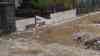 (UP) Massives Hochwasser in Ostsachsen: Fluss Wesenitz tritt über die Ufer, Hochwasserstufe 4, zahlreiche Häuser überflutet, Feuerwehr im Großeinsatz, Anwohne müssen über ihre Fenster aus Häuser klettern: Anwohner kippen mit Eimern das Wasser aus ihrem Fenster, zahlreiche Wohnhäuser mit Sandsäcken verbarrikadiert