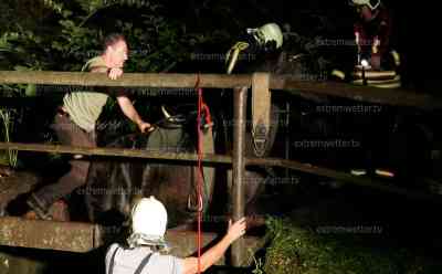 Spektakuläre Tierrettung im Erzgebirge: Stute bricht auf Brücke ein, Feuerwehr muss aufwändig Podest bauen, Stute zwischen Brückenteilen gefangen, nach über zwei Stunden und genügend Unterbau kann Stute aus Bachlauf klettern: Reiterin nimmt nach Ausritt Stute entgegen, ausführliches Interview zur Tierrettung von der Feuerwehr Aue, zweite Reiterin verletzt sich jedoch