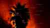 Lavahölle: Dramatische neue Bilder aus La Palma, einzigartige Filmaufnahmen, Häuser in Flammen, neuer Lavafluss walzt sich durch die Ortschaften im Katastrophengebiet, exklusives Interview mit deutschem Vulkanexperten: Gefahrenzone: Unglaubliche Drohnenbilder zeigen die Naturgewalt hautnah