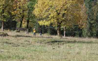 Erster Frost lässt Windschutzscheiben und Blumen gefrieren – Goldgelbe Herbststimmung am großen und kleinen Ahornboden in der Eng – Unzählige Besucher strömten in das farbenprächtige Tal:  Minus 2 Grad Celsius auf dem Thermometer – Kaiserwetter zum Wandern und Radfahren