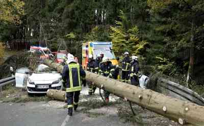 (Update)Baum kracht auf fahrendes Auto im Vogtland: Person wurde eingeklemmt und schwer verletzt: Eingeklemmte Person im PKW durch Baumschlag in Schnarrtanne