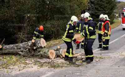 Sturmtief – Baum begräbt Autofahrer beim Einsteigen: Ersthelfer befreit Mann mit Kettensäge von schwerer Last, Feuerwehr ebenfalls im Einsatz, Spielturm von kleiner Josephine umgeweht: Sturmtief zieht so langsam ab, enorme Beeinträchtigung auf den Straßen