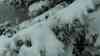 Schneechaos am Fichtelberg: intensive Schneefälle – Transporter bleibt an Steigung hängen, starker Schneefall, Touristen im Schnee und Wind, PKW Fahrer müssen Autos von Schnee befreien: Voxpops von Touristen: „wir sind überrascht, Es ist reichlich, es soll so weiter gehen“