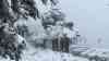 Heftiger Wintereinbruch in Italien: Palmen versinken im Schnee - Tiefwinterlich im mediterranen Klima, Straßen und Autos in den Schneemassen: Urlaubsregion in Italien im Schnee
