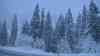 Winterchaos im Allgäu, über 30 cm Neuschnee, Schneefräse in Aktion: glatte Straßen und Starkschneefälle, Winterausrüstung erforderlich, alles tief verschneit