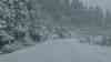 (Schneesturm, stark) Schneesturm Brocken: starke Schneefälle, Schneeverwehungen, Kinderkutsche und Menschen im Schneesturm: Brockenbenno "8331 Brockenaufstieg", Schneechaos für Sonntag erwartet, 7 cm Neuschnee