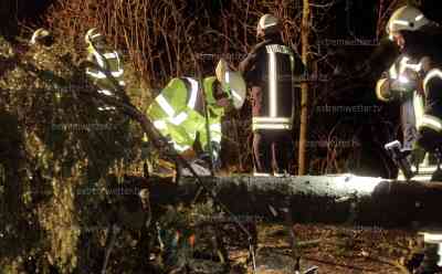 Sturm Antonia fegt über Sachsen hinweg: Ampelanlage vom Sturm weggedrückt, Autofahrer müssen Kiefer ausweichen, massiver Wettersturz mit Graupel, Schnee und Sturm, Feuerwehren im Einsatz, Fichte blockiert Fahrbahn, Feuerwehr mit Kettensägen im Einsatz: Feuerwehr hofft: „Ich denke es wird langsam ruhiger, den ganzen Tag wird es noch Sturmböen geben“
