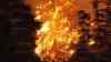Flammeninferno unweit von Schloss Neuschwanstein - Trockenheit führt zu großem Waldbrand – Löscharbeiten dauern Tage an : Hubschrauber angefordert – Brand schwer zu löschen – Hunderte Einsatzkräfte im Einsatz – Bergwald brennt lichterloh