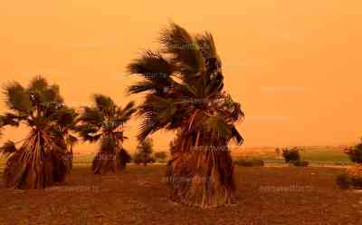 UP: Unglaubliche Bilder: Extremwetter: Sahara-Sturm in Spanien – Surreale Bilder und heftiger Sturm in der Touristenregion Costa Blanca, meterhohe Wellen und extremer Saharastaub aus Afrika, Blutregen verschmutzt Autos, Drohnenbilder wie vom Mars: Blutregen verschmutzt Autos extrem