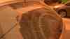 UP: Unglaubliche Bilder: Extremwetter: Sahara-Sturm in Spanien – Surreale Bilder und heftiger Sturm in der Touristenregion Costa Blanca, meterhohe Wellen und extremer Saharastaub aus Afrika, Blutregen verschmutzt Autos, Drohnenbilder wie vom Mars: Blutregen verschmutzt Autos extrem