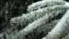 Massiver Wintereinbruch droht – erste Schneefälle in den Mittelgebirgen: Schneefall bei – 1 °C auf dem Fichtelberg, dünne Schneedecke kündigt markanten Wintereinbruch an, Vegetation mit Schnee bedeckt, Schneemann wird gebaut: Winterreifenpflicht in den kommenden Tagen, bis zu 10 cm Neuschnee selbst im Tiefland erwartet