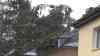 Sturmtief Nasim fegt über Mitteldeutschland hinweg: Baum kracht auf Wohnhaus, Feuerwehr muss über Drehleiter mühevoll den Baum in kleinen Stück zerteilen: Naturschauspiel auf der Rückseite der Kaltfront: Mammatuswolken zeigen Abzug der Kaltfront