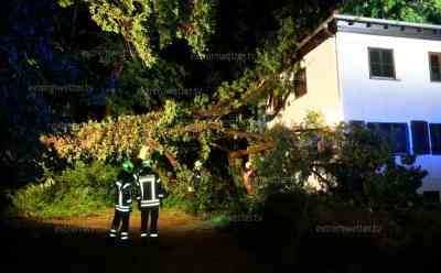 Heftige Unwetterfront zieht über Sachsen hinweg: Bäume krachen auf Haus - Feuerwehren im Dauereinsatz, Orkanböen lassen zahlreiche Bäume umstürzen und sorgen für massive Unwetterschäden: Heftige Unwetterfront erreicht den Osten - Große Gefahr für die Feuerwehr