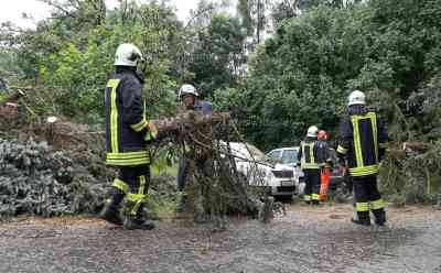 Unwetter zog über Sachsen hinweg: Baum kracht auf Fahrzeuge, heftiger Starkregen und Sturmschäden in Mittelsachsen,  : Feuerwehr im Einsatz
