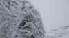 (Schneesturm, stark) Schneesturm auf dem Brocken: 19 cm Neuschnee, orkanartige Böen, Schneesturm überrascht Brockenbesucher: Radfahrer trotzt den Sturm (on tape), weitere Schneefälle und Neuschnee erwartet
