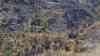 Waldbrand Sächsische Schweiz: weiterhin Schwerstarbeit für Feuerwehr, Kameraden werden mit Hubschrauber zur Einsatzstelle ausgeflogen, Löschhubschrauber werfen weniger Meter von Kameraden entfernt Löschwasser ab, Schwerstarbeit der Kameraden im ausgebrannten Wald: Aufnahmen zeigen völlig zerstörten Wald, hunderte Meter Schläuche in Asche, Kameraden werden zur Einsatzstelle geflogen und wieder abgeholt
