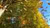 Indian Summer in Deutschland: Atemberaubende Drohnenbilder - Traumhafte Herbstfarben bei 20 Grad im Schatten, Menschen essen Eis und sitzen in den Cafes, Sonnenaufgang über dem Nebelmeer, Kaiserwetter und Wanderwetter in den Bergen: Traumhafter Indian Summer in Deutschland – Der Goldene Herbst von seiner schönsten Seite