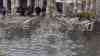 Schutzsystem nicht aktiviert: Venedig steht wieder unter Wasser – Tausende Touristen am dritten Adventswochenende auf Stegen in der überfluteten Altstadt unterwegs, ein massives Gedrängel auf den Hochwasser-Stegen, erstes Hochwasser nach der katastrophalen Rekordflut vor zwei Wochen: Tausende Weihnachtstouristen drängeln sich auf den Hochwasserstegen in Venedig