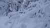 Starker Schneefälle drohen: erste Schneefräsen gegen Schnee im Einsatz, Menschenmassen bei eisigen Temperaturen auf Annaberger Weihnachtsmarkt, Hund in Wintermantel von Frauchen eingehüllt, Chaos zum Berufsverkehr erwartet: -11 °C auf dem Fichtelberg, tiefwinterliche Impressionen, Reiterstaffel unterwegs auf Winterwanderung, Drohnenaufnahmen vom Winterwetter