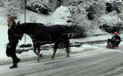 Schnee- und Eisglätte sorgen für große Probleme: südliches Niedersachsen von Neuschnee betroffen, LKW hängen an Steigungen quer, Pferd zieht Vater mit Kind auf Bob über Straße, Bauhof streut Salz unter querstehenden LKW: 10 cm Neuschnee in wenigen Stunden, Anwohner sind mit Schnee schippen beschäftigt, Winterdienst steckt im Stau fest