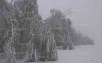 Eisbruch – ganze Baumkronen brechen: tagelanger Eisnebel führt zu starken Raueisansatz an Bäumen, Äste und Baumkronen brechen auf Gehwege und Fahrbahnen, große Gefahr für Autofahrer und Fußgänger: Tagelanger Nebel und Minusgrade führen zu Eisansatz an Bäumen, Schildern