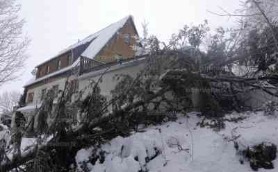 Schneebruch – Winterwetter führt zu immer mehr Problemen: Feuerwehren rückten am frühen Morgen zu Schneebrucheinsätzen aus, Sachsenforst warnt vor Betreten von Wäldern, Strommasten ebenfalls von Eislast betroffen: Große Fichte kracht auf Straße und Carport, beschädigt Dach einer Garage, Erzgebirge tiefwinterlich am Wochenende