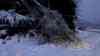 (UP) Alarmstufe Rot auf Mallorca: Massiver Wintereinbruch – Ortschaften versinken im Schnee, Verkehrschaos, Wetterdienst warnt vor extremen Schneefall, heftiges Sturmtief sorgt für Wetterchaos auf der Urlaubsinsel, Palmen und Zitronenbäume im Schnee, deutscher O-TON Anwohner: Heftiges Sturmtief erreicht Mallorca und sorgt für einen Wintereinbruch mit Verkehrschaos und Schneebruch durch extreme Schneefälle